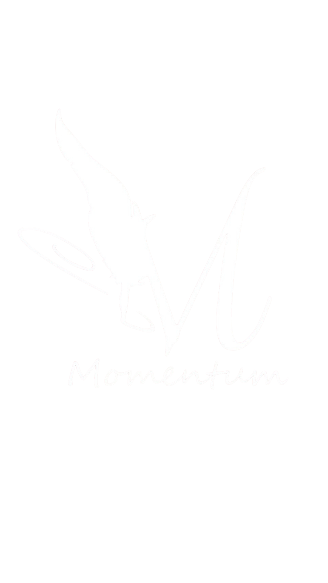 Momentum Logo